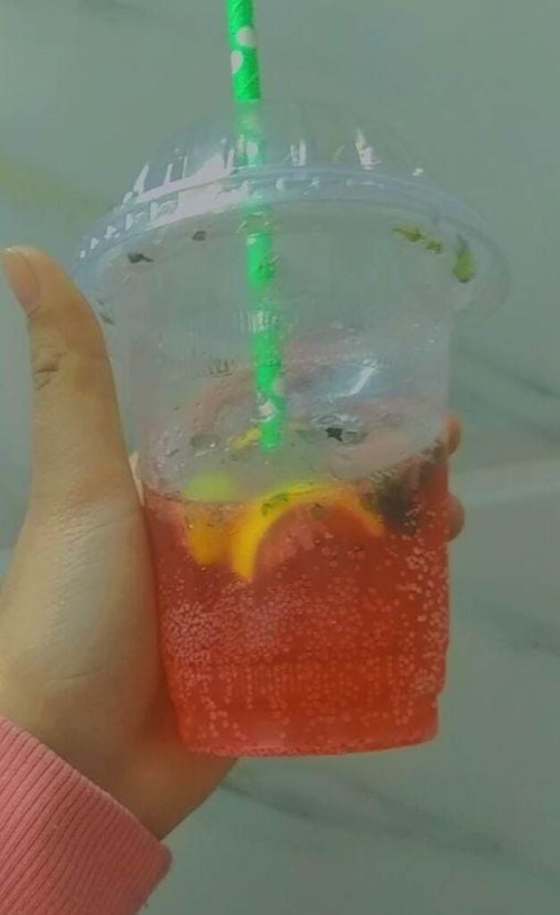 How To Make Non-Alcoholic Watermelon Mojito